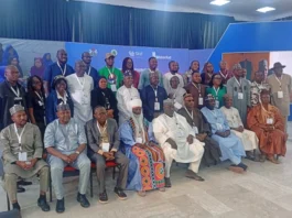 WaterAid Urges Scale-Up of Bauchi Sanitation Project