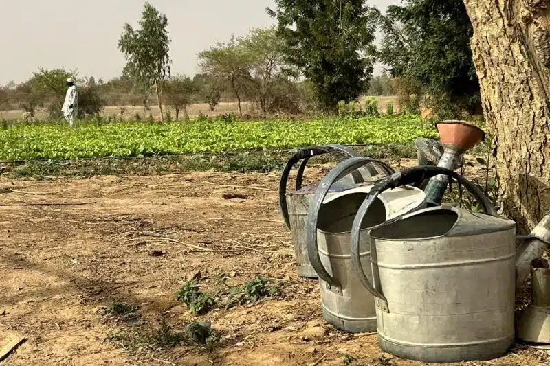 Burkina Faso irrigation plan: where the CFA254.79bn really goes