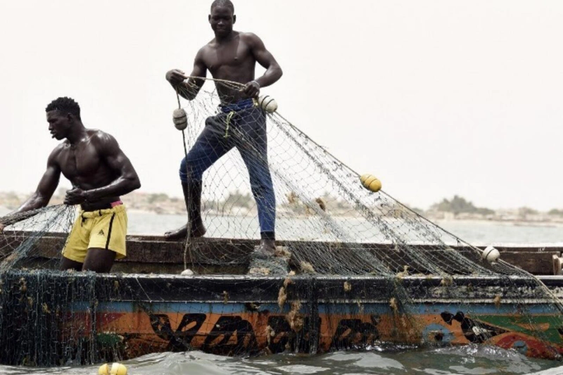 Senegalese Fishermen Say Foreign Trawlers Are Crowding Them Off Their Own Sea