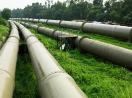 Nigeria’s Gas Politics: The South-East Needs Facts, Not Scapegoats Nigeria’s Gas Politics: The South-East Needs Facts, Not Scapegoats