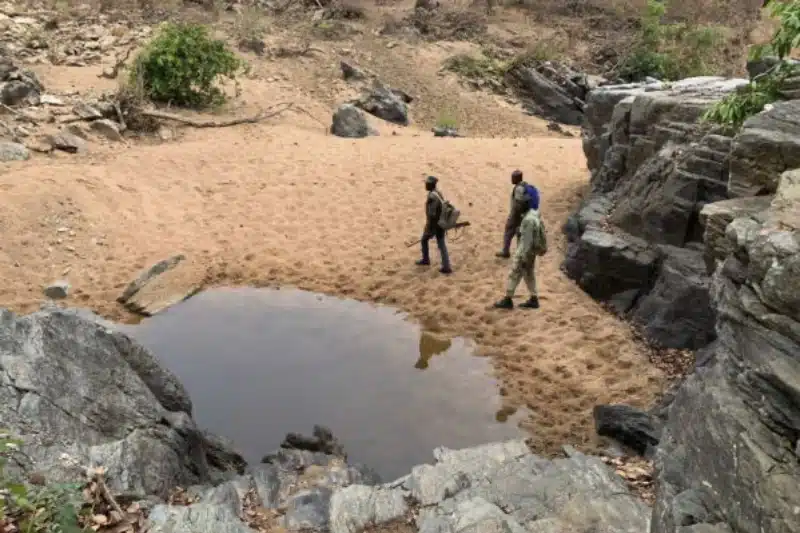 Sahel Jihadist Rivalry Edges Closer to Nigeria’s Northwest